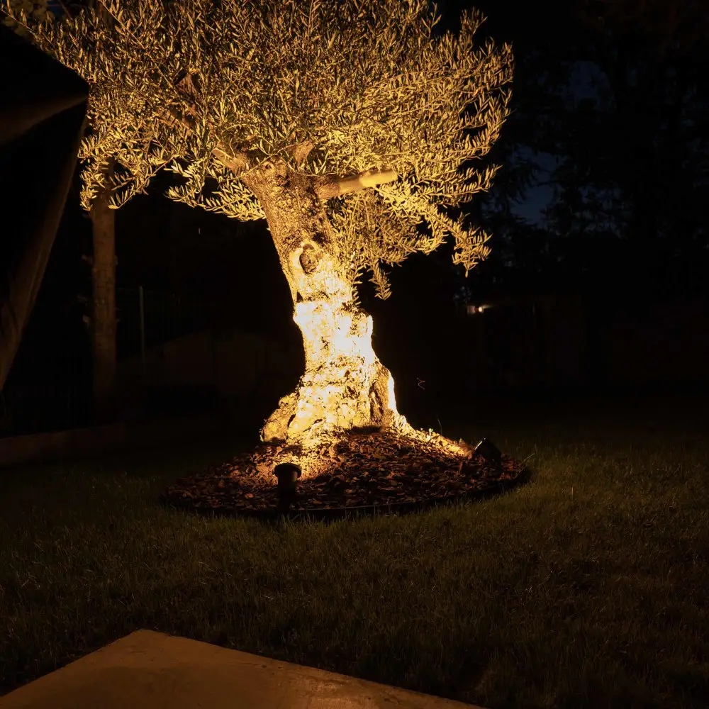 Mise en lumière